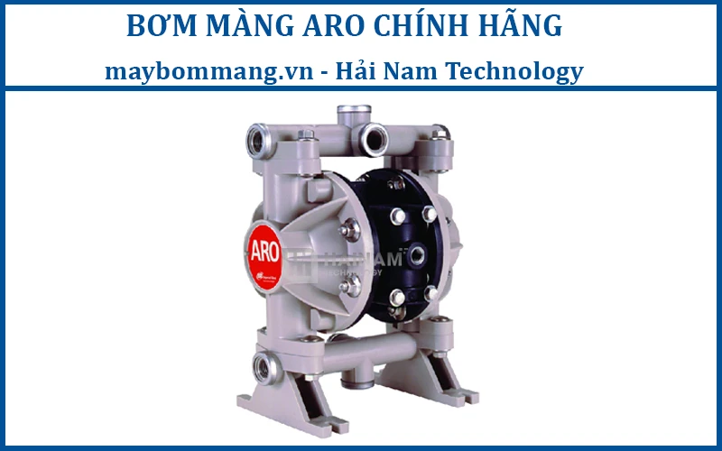 bơm màng ARO 66605J-344 chính hãng