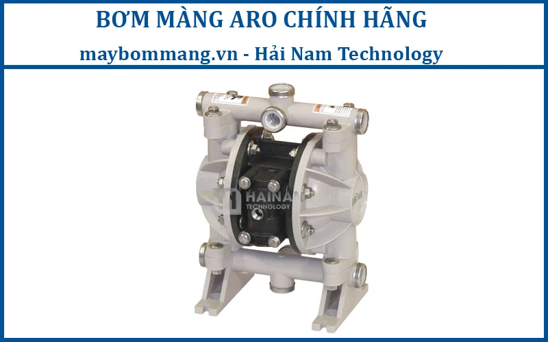 bơm màng ARO 66605J-3EB