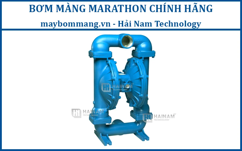 bơm màng Marathon M05B1ABWABS100