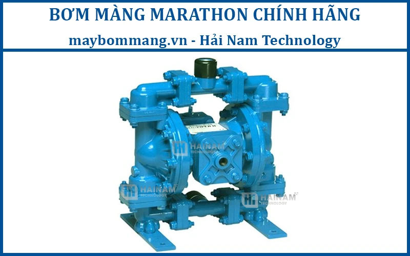 bơm màng Marathon M20B1A1EABS000