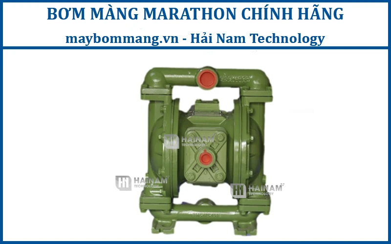 bơm màng Marathon M20B3P2PPUS100