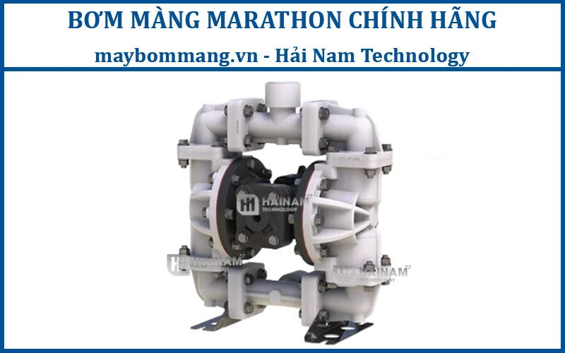 máy bơm màng Marathon M05B1K2KANS100