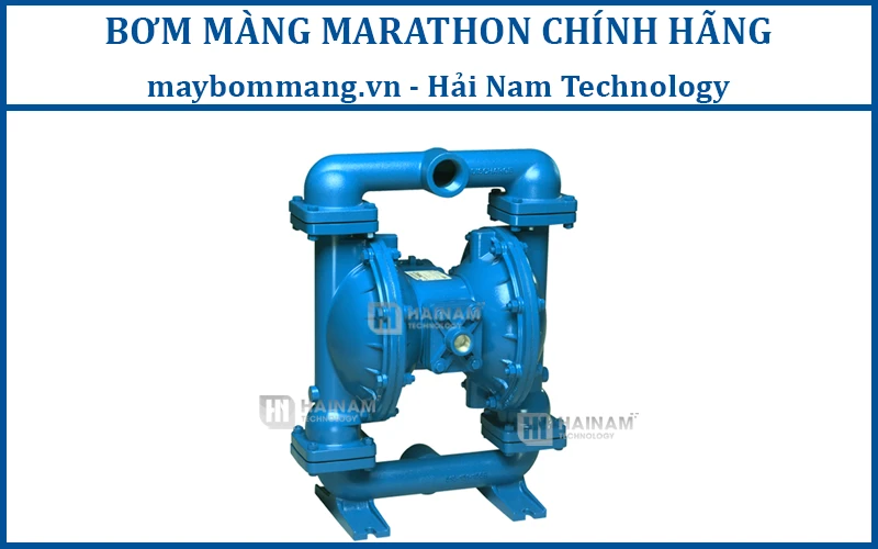 máy bơm màng Marathon M20B1SNNABS100