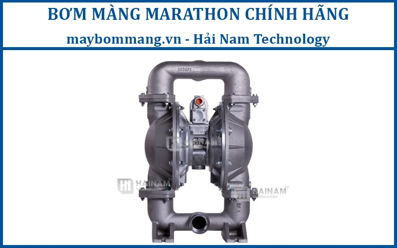 máy bơm màng Marathon model M1FB1SGTABS100