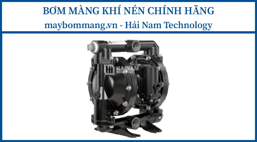 Bơm màng ARO PD10P-AAA-PAA nhỏ gọn dùng trong thực phẩm và dược phẩm