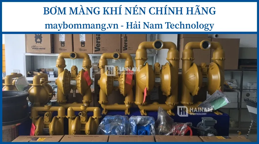 Bơm màng thương hiệu Sandpiper