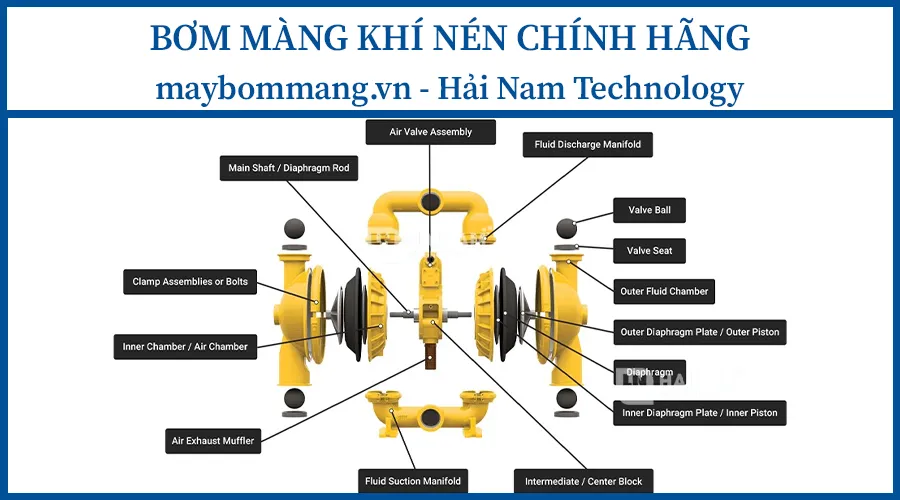 Cấu tạo máy bơm màng