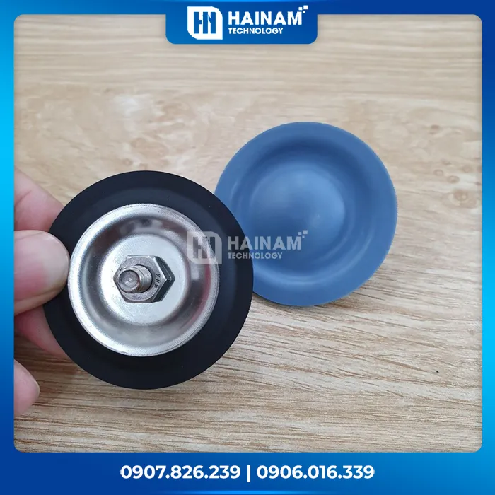 Màng bơm Blue White TEFLON