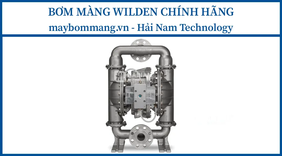 Bơm màng Wilden H800
