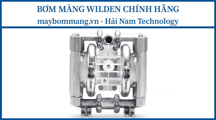Bơm màng Wilden P1