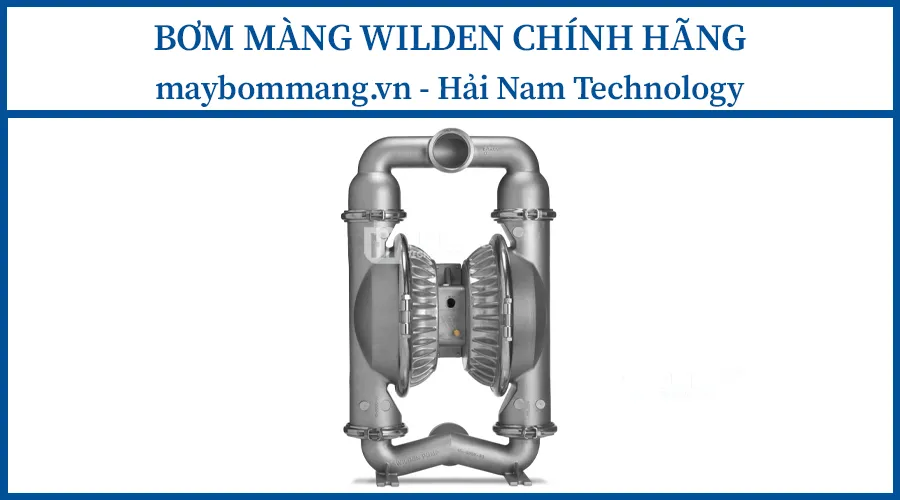 Bơm màng Wilden P15
