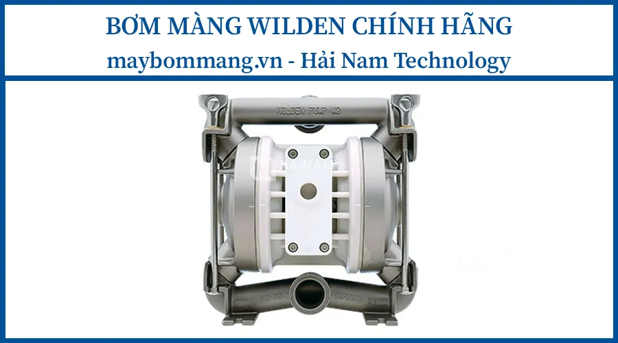 Bơm màng Wilden P2