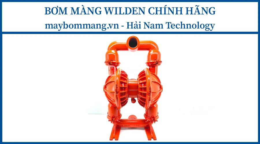 Bơm màng Wilden P8