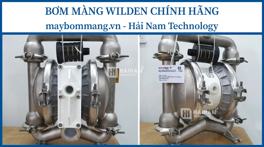 Đặc điểm của bơm màng wilden