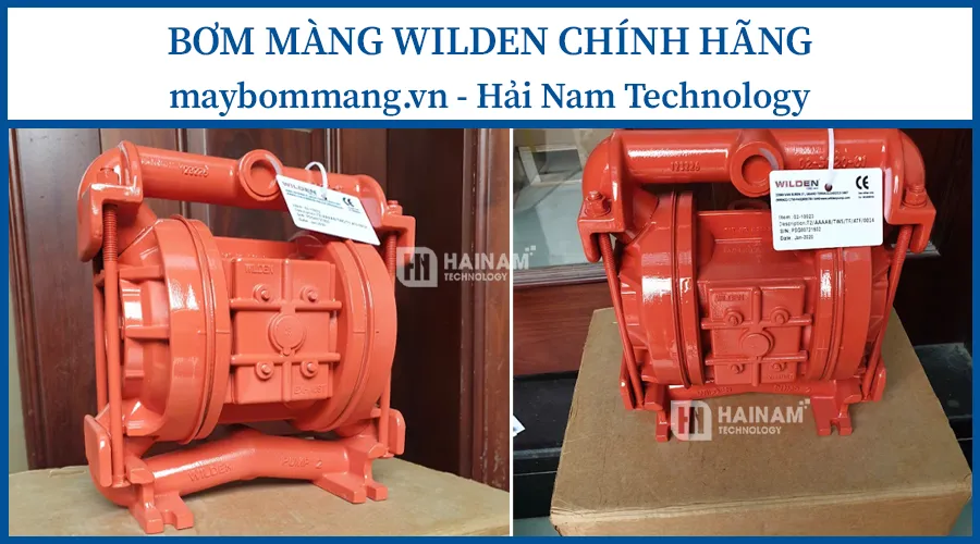 bơm màng wilden chính hãng