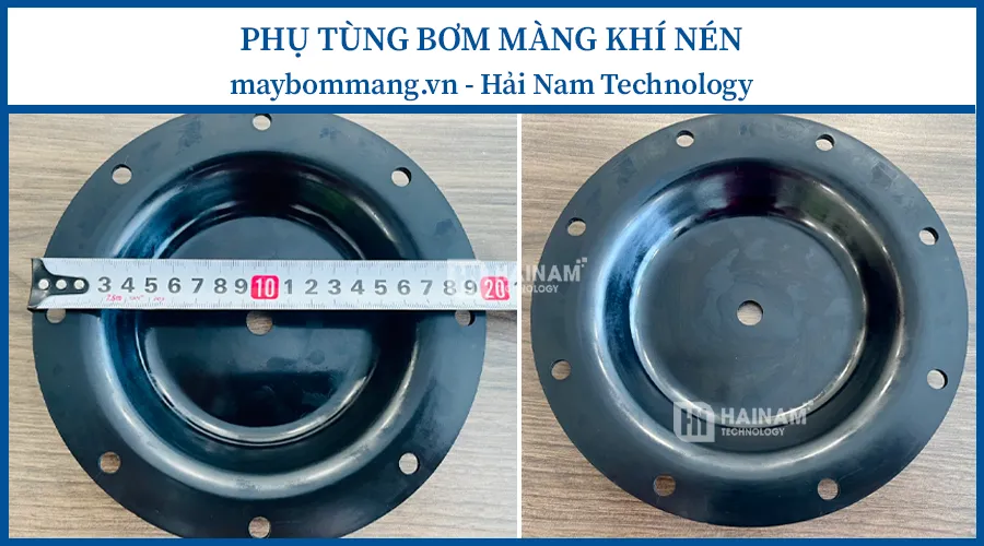 phụ tùng màng bơm