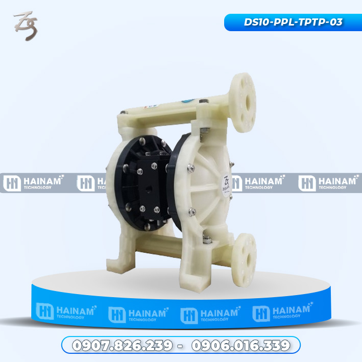 TDS DS10-PPL-TPTP-03