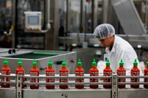 dây chuyền sản xuất gia vị