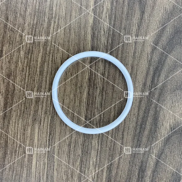oring bơm màng tds