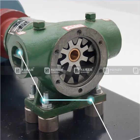 bơm bánh răng tại Hải Nam Technology