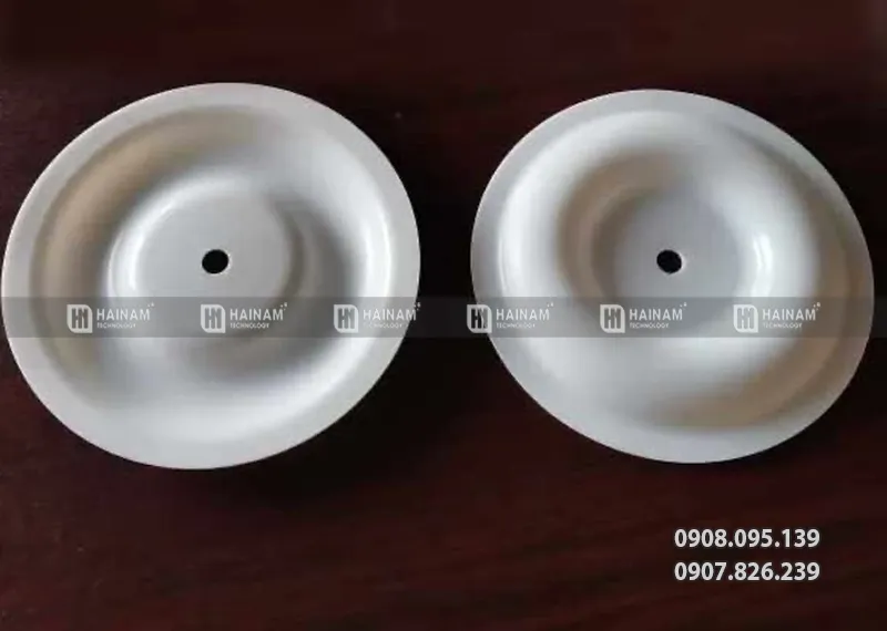 bơm màng teflon