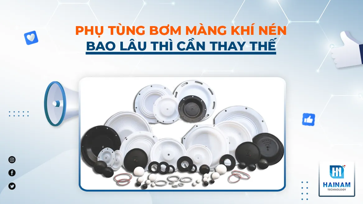 thay thế phụ tùng bơm màng khí nén